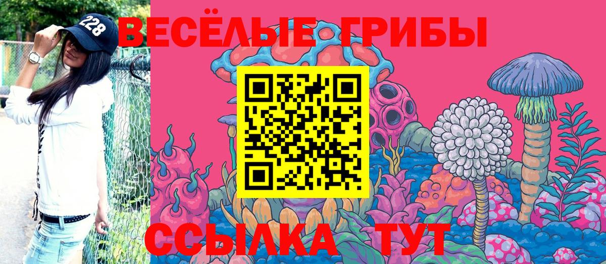 Галлюциногенные грибы GOLDEN TEACHER  Галлюциногенные грибы прущие грибы  купить наркоту  Вход с VPN  Нижний Новгород 